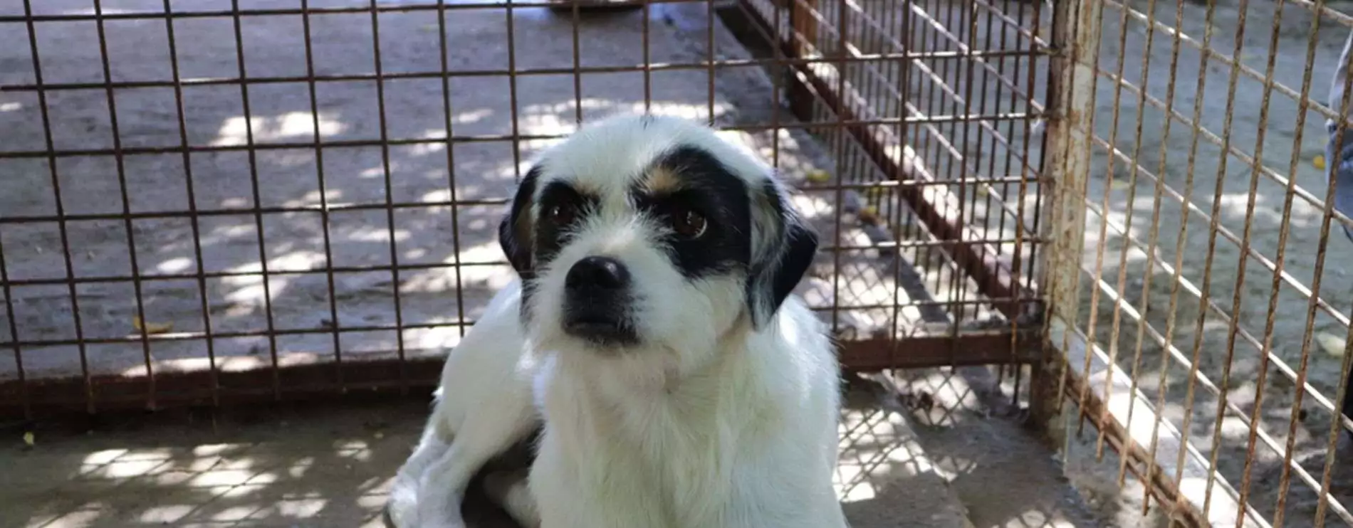 Titelbild_Kontakt_1900x742