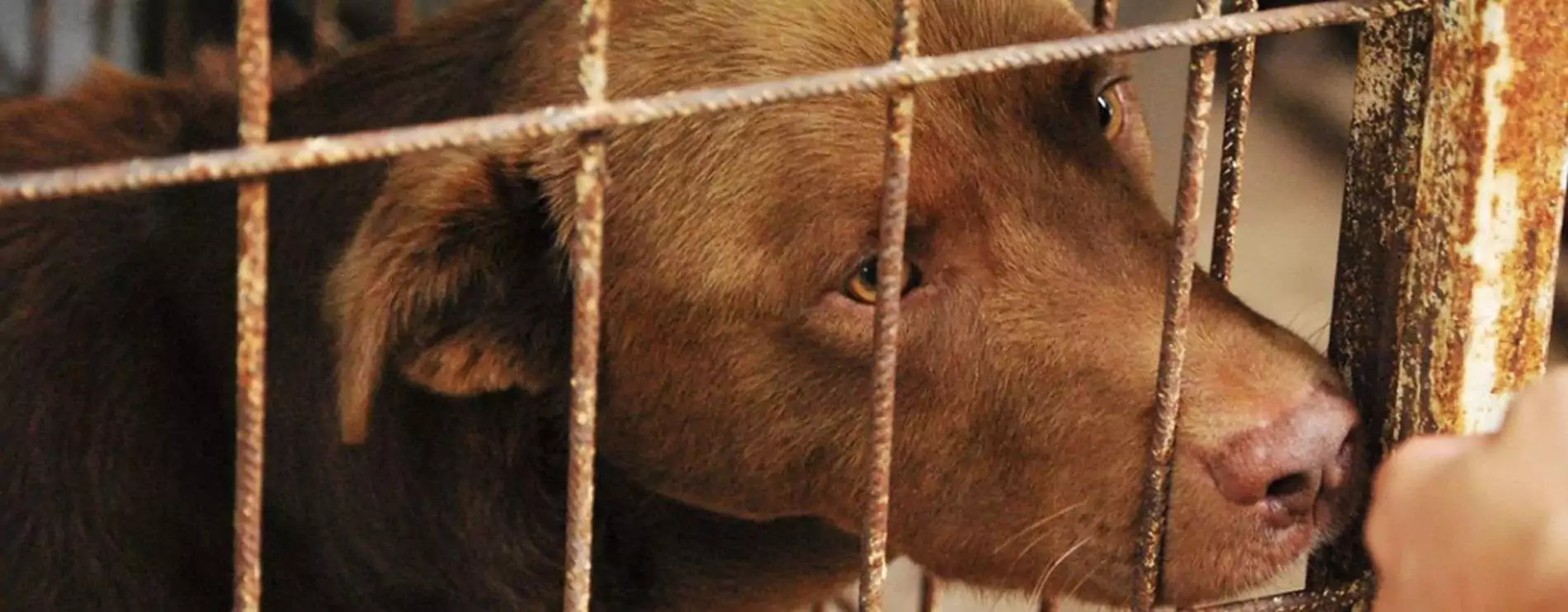 Titelbild_Start_1900x742