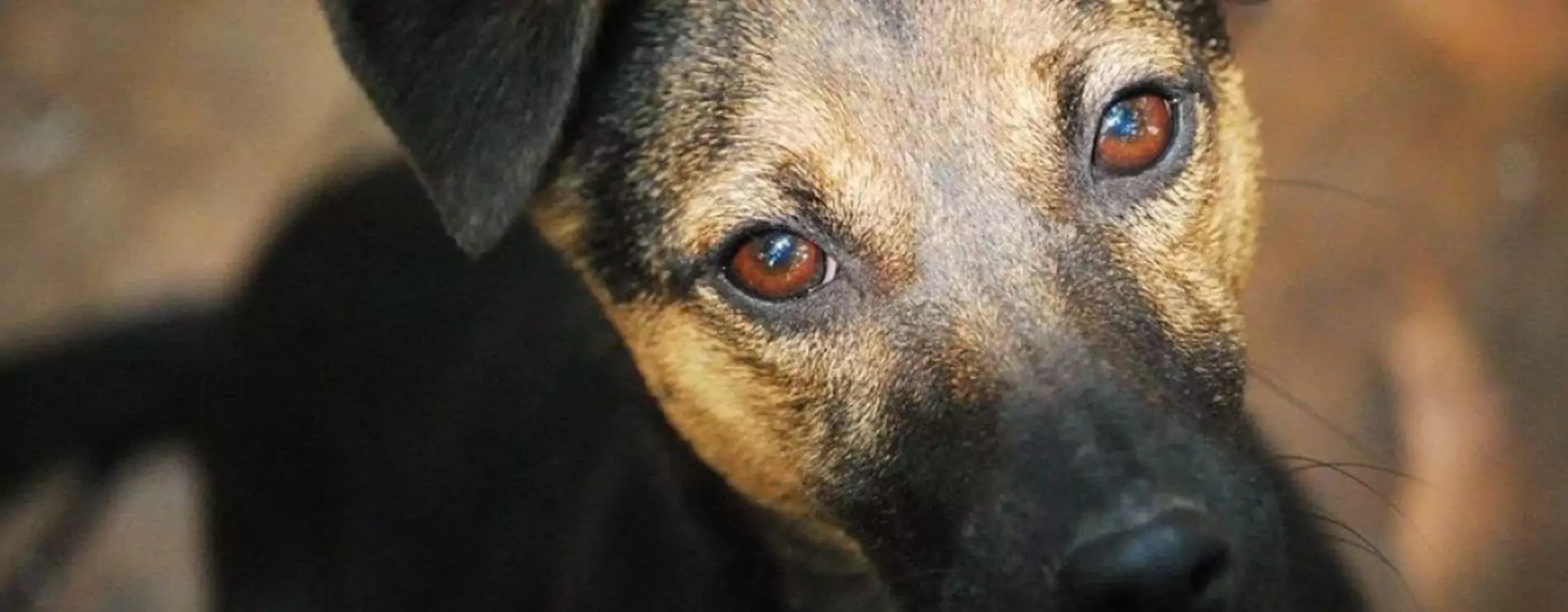 Titelbild_Vermittlung_1900x742